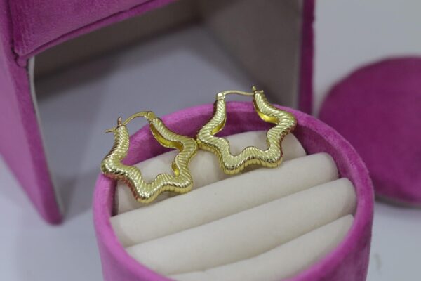 Aretes Indira