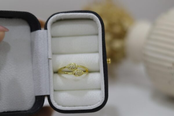 Anillo Aroa