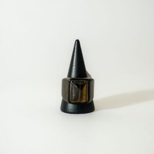 Anillo Zigor