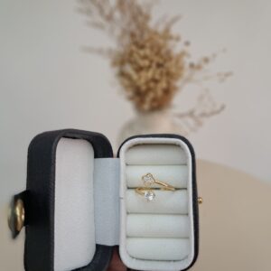 Anillo Felina