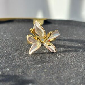 Anillo Isel