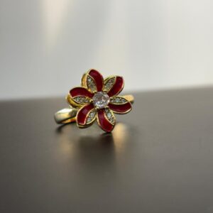 Anillo Sd