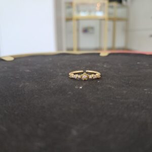 Anillo Edelmira