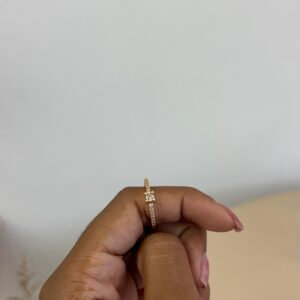 Anillo Darya