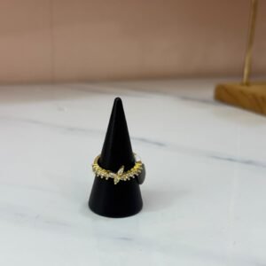 Anillo Aleja